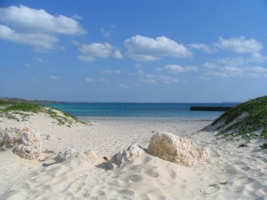 irabu-11.jpg(19036 byte)