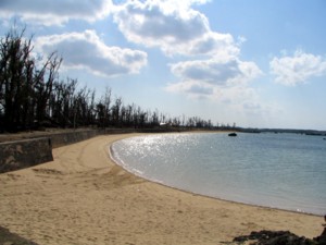 irabu-5.jpg(21322 byte)