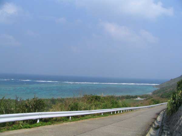 aragusuku-b.jpg(17624 byte)