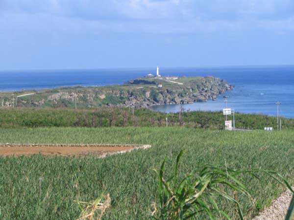 bora-2-b.jpg(33567 byte)