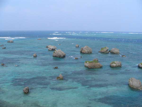 bora-4-b.jpg(18013 byte)