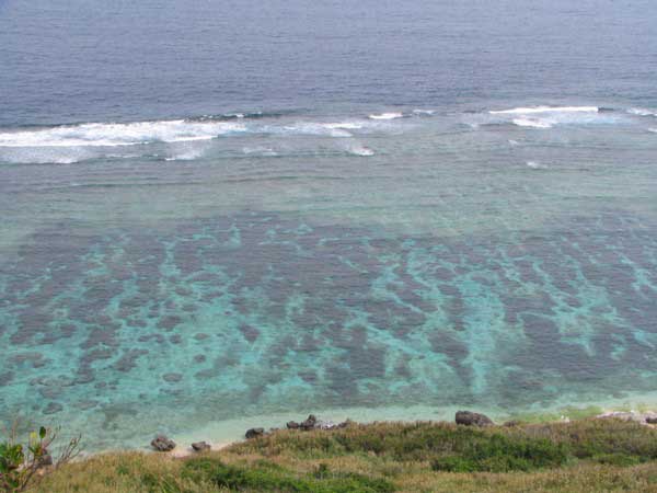 higa-b.jpg(29162 byte)