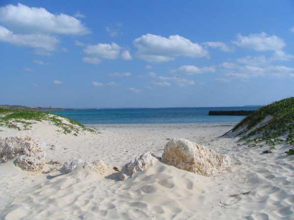 toguchi-b.jpg(23502 byte)