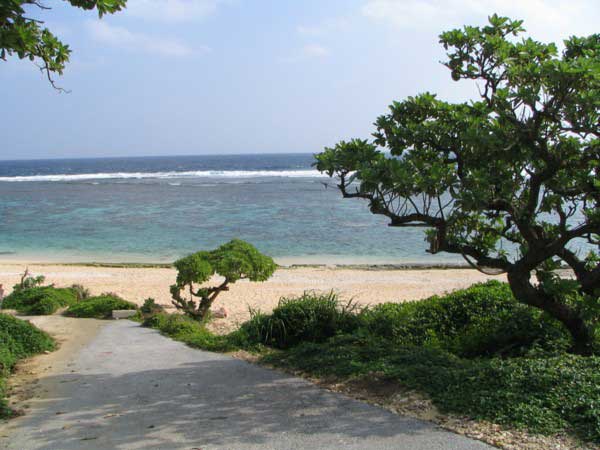 yoshino-1-b.jpg(39410 byte)