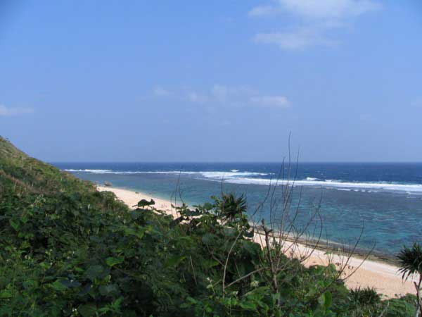 yoshino-2-b.jpg(23809 byte)