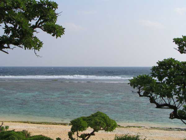 yoshino-3-b.jpg(30166 byte)