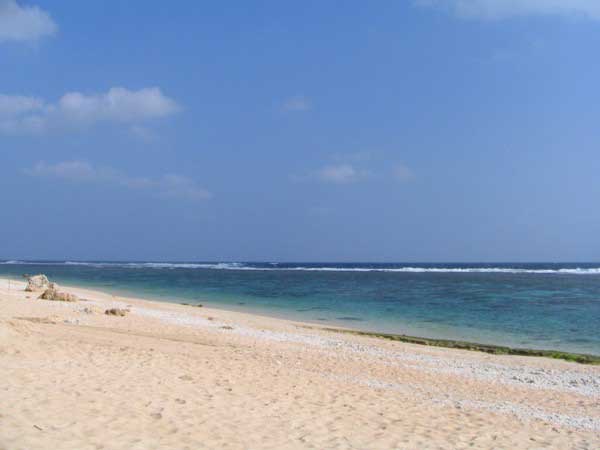 yoshino-4-b.jpg(15177 byte)