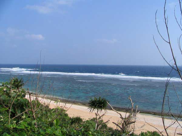 yoshino-5-b.jpg(28824 byte)