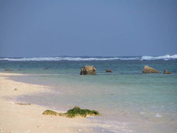 yoshino-6-b.jpg(39145 byte)