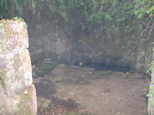 ���}�g�K�[�����ݏ�