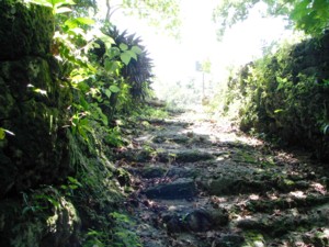 ���}�g�K�[�̏o��