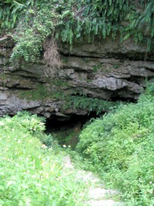 ������i���C�J�K�[)