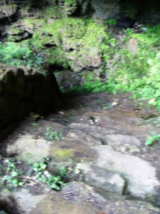 ���C�J�K�[�֍~���