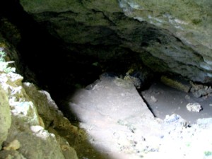 ���C�J�K�[�̒�