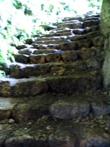 ���C�J�K�[�̐Βi