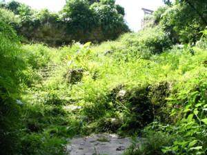 ���C�J�K�[����O�֏o�����i