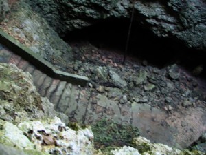 �F�����ܐ�̉�