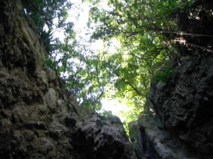 ���܂��[�̉�����݂����i