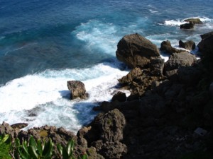 ���C�K�[����C�̕��i