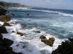 �������̕��i